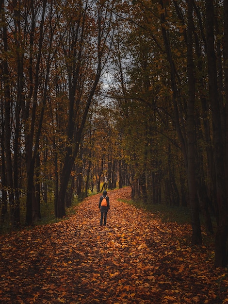 Фото Девушек Сзади В Осеннем Лесу