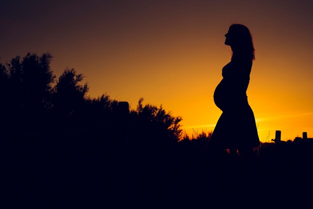 Silhouette of pregnant woman at sunset with solid color background. Premium Photo