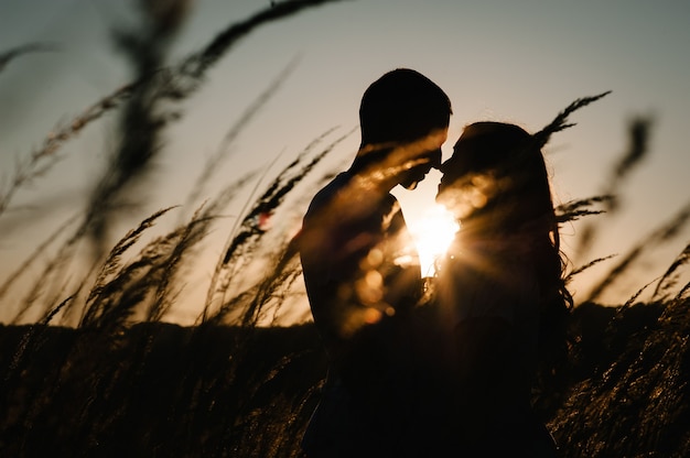 シルエットの若いカップルがハグし 公園の屋外で夕日にキスを秋にキスします 男性と女性 フレンドリーな家族の概念 プレミアム写真