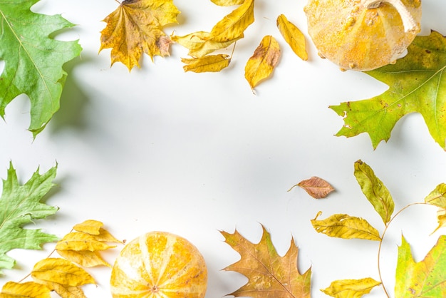 Premium Photo | Simple Autumn Leaf Flatlay, Colorful Fall Dried Leaves