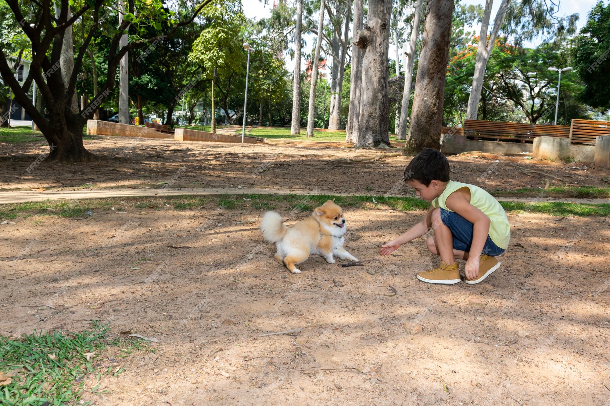 Premium Photo | Six year old boy crouching and playing with a stick and ...