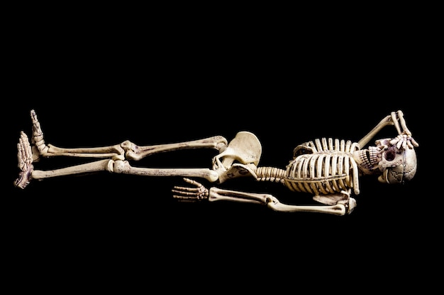 Premium Photo | Skeleton model action on black background.