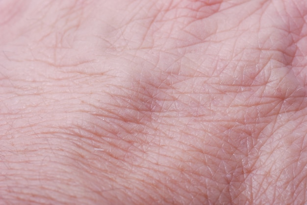 Premium Photo | Skin texture wrinkled by age