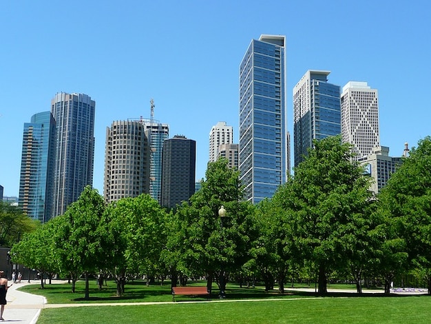 skyscraper chicago