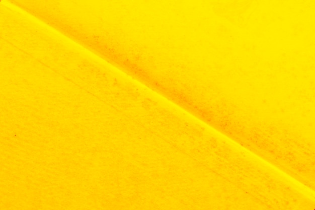 黄色のテクスチャ付きの壁紙に斜めに折り畳まれたラインの詳細 無料の写真