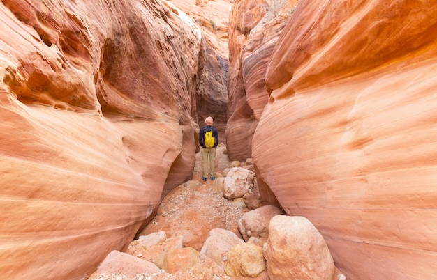 Premium Photo Slot Canyon In Grand Staircase Escalante National Park Utah Usa 7427