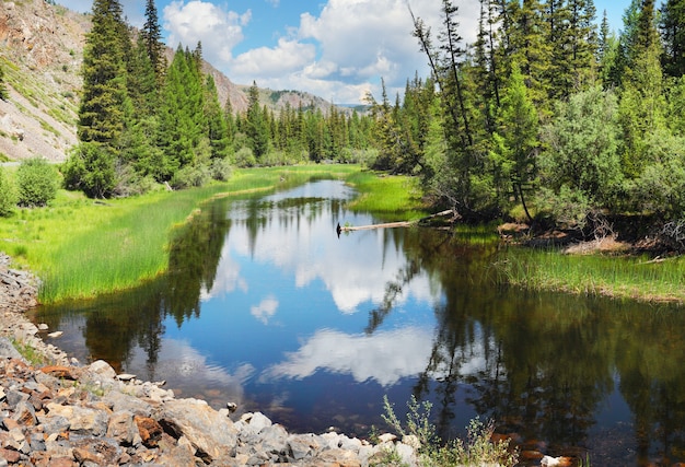 Premium Photo | Small taiga lake, reflected in water, summer travel