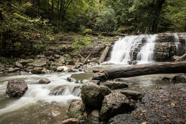 Premium Photo A Small Waterfall Flows Into The River