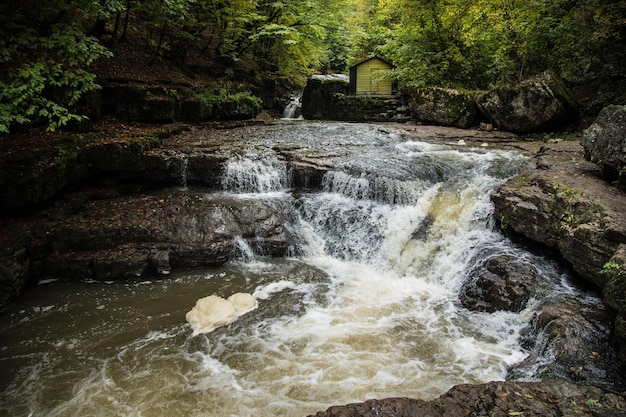 Premium Photo A Small Waterfall Flows Into The River