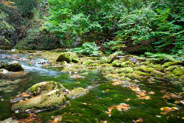 Premium Photo | Small waterfall and green clear still water lagoon ...