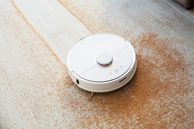 smart house robot