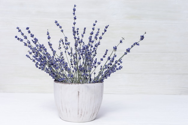 Premium Photo | Smelling lavender flowers in pot. bunch of natural ...