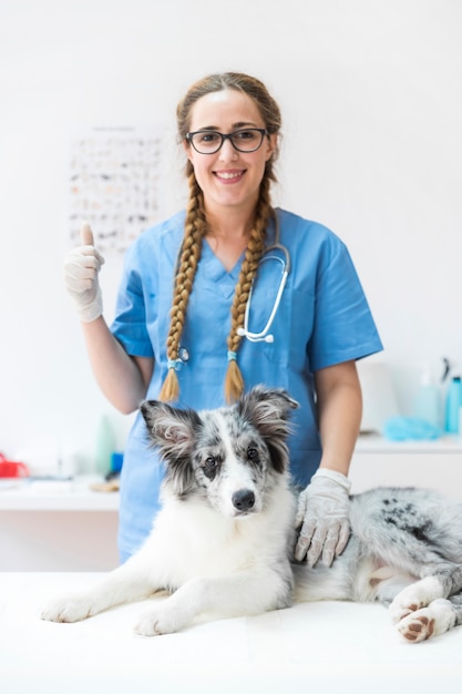 Smiling female veterinarian with dog on table in clinic showing thumbup ...