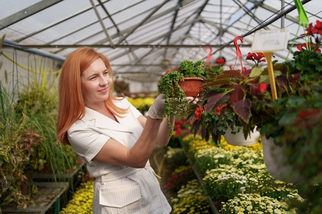 彼女は温室の庭の植物に傾向があるように鉢植えの花を検査している彼女の保育園で笑顔の花屋 無料の写真