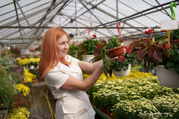 彼女は温室の庭の植物に傾向があるように鉢植えの花を検査している彼女の保育園で笑顔の花屋 無料の写真