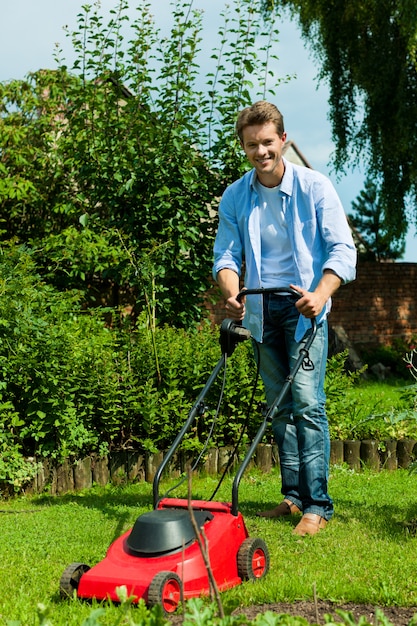 mower the lawn