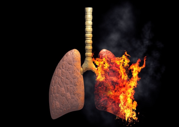 Premium Photo Smoker S Lungs On Fire From Excessive Use Of Cigarettes