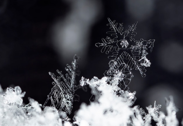 Premium Photo | Snapshot of a small snowflake taken during a snowfall