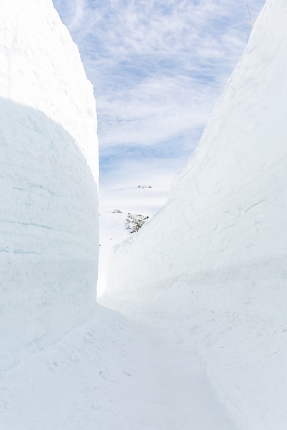 Premium Photo Snow Wall At The Tateyama Kurobe Alpine Route