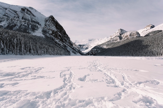 Free Photo | Snowy valley in mountains