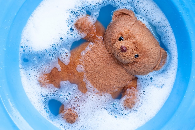 laundry detergent teddy bear