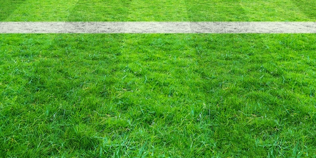 サッカー場の緑の芝生でサッカーライン 背景の緑の芝生フィールドパターン プレミアム写真