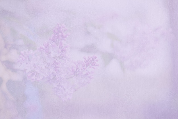 柔らかいぼやけた壁紙やライラック色の花の背景 淡い紫色の壁 プレミアム写真