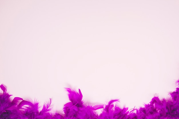 テキストを書くためのスペースと淡いピンクの背景に柔らかい羽 プレミアム写真