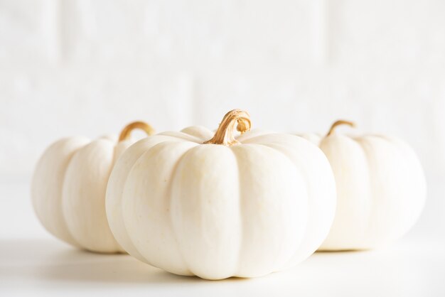 Premium Photo | Soft focus on three white pumpkin on white brick block ...