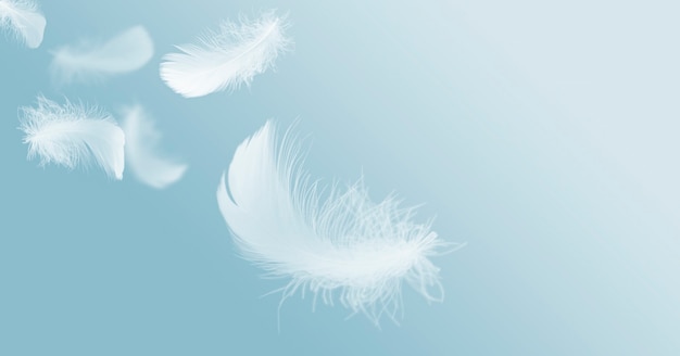 Premium Photo | Soft lightly fluffy white feathers floating in the sky