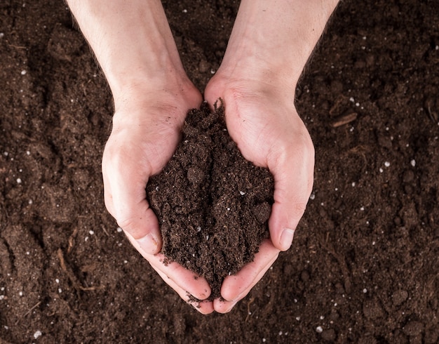 Premium Photo | Soil in hands