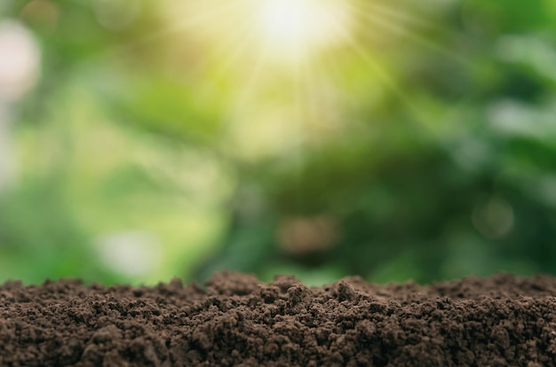 Soil for planting with green blur and sunlight background | Premium Photo