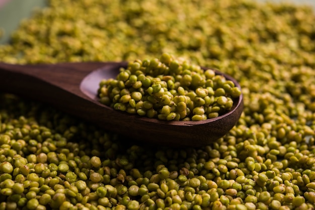 Premium Photo | Sorghum also known as jowar or juaror cholam in tamil ...