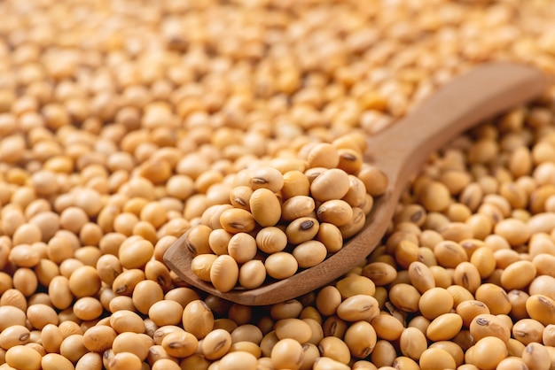 Premium Photo | Soybean on wooden spoon, dried soy beans, organic ...