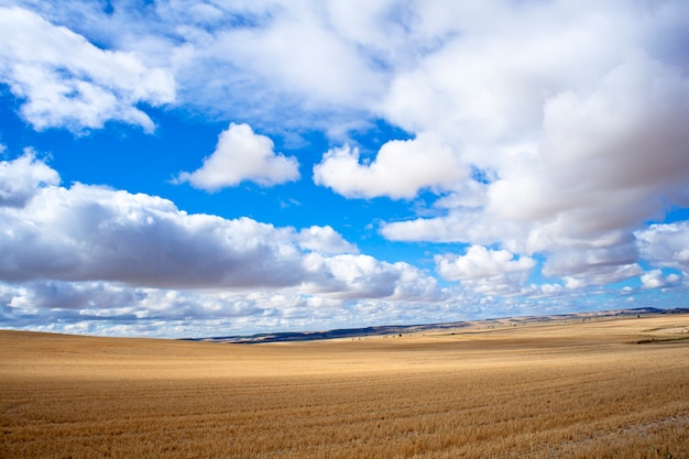 Premium Photo | Spanish countryside