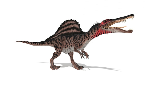 スピノサウルスの白い背景の角度のセット3dイラスト プレミアム写真