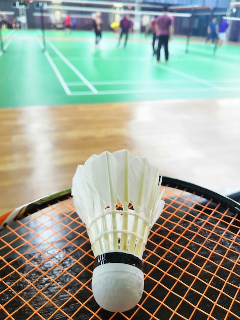 free online shuttle badminton games