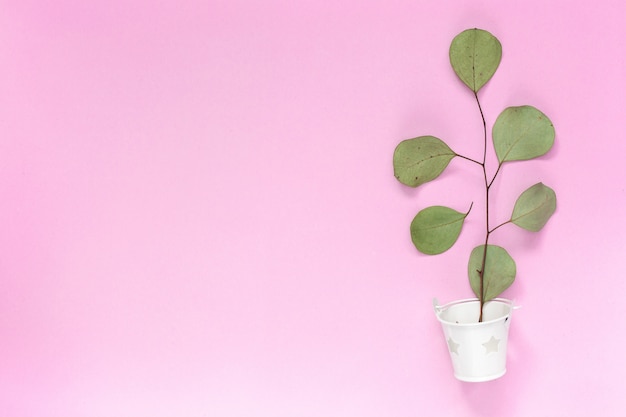 Premium Photo Sprig With Leaves In A White Bucket On A Plain Pink Background Copy Space