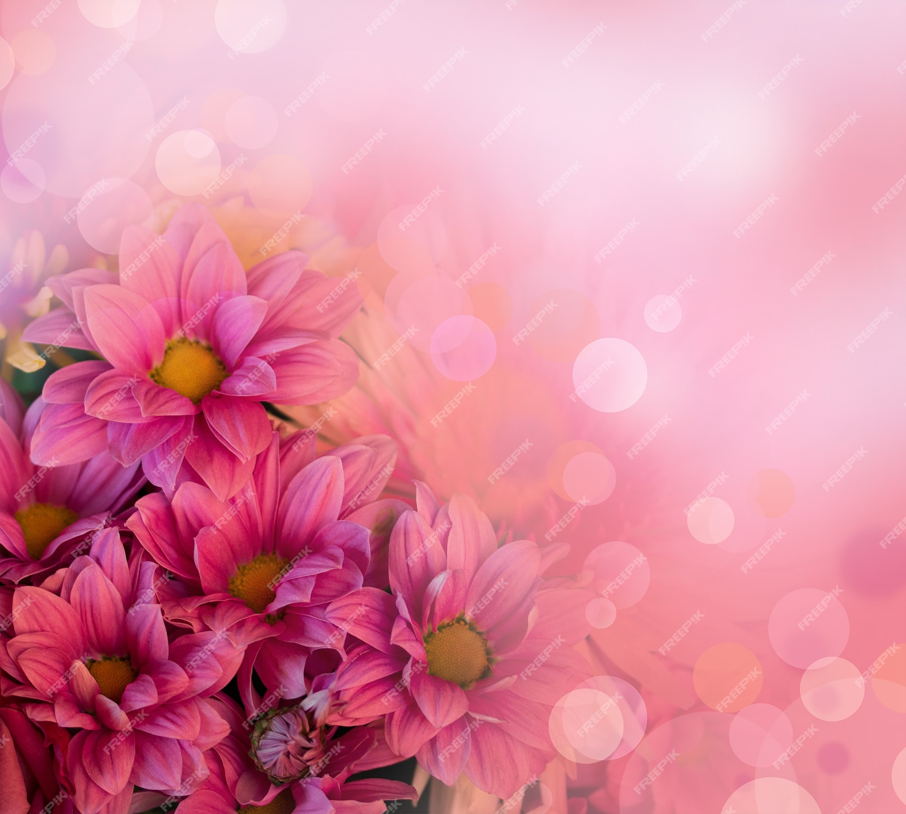 Premium Photo | Spring background with pink flowers