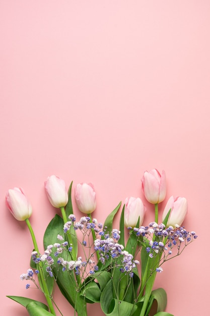 青い背景にピンクのチューリップの春のバナー 花柄 プレミアム写真