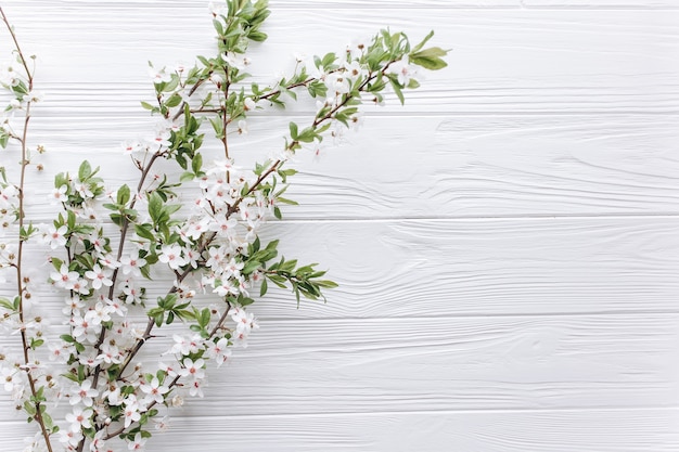 Premium Photo | Spring blossoms on wooden background