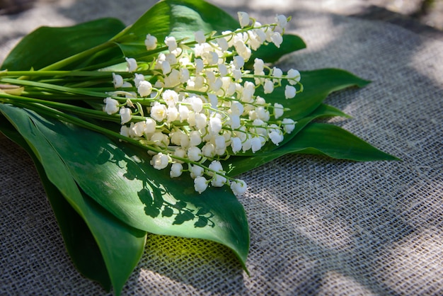 Premium Photo | Spring bouquet of white lilies of the valley on a ...
