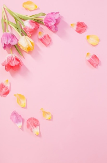 ピンクの背景に春の花 プレミアム写真