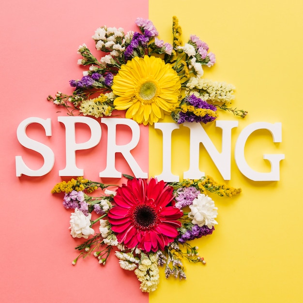 Free Photo | Spring word in different flowers