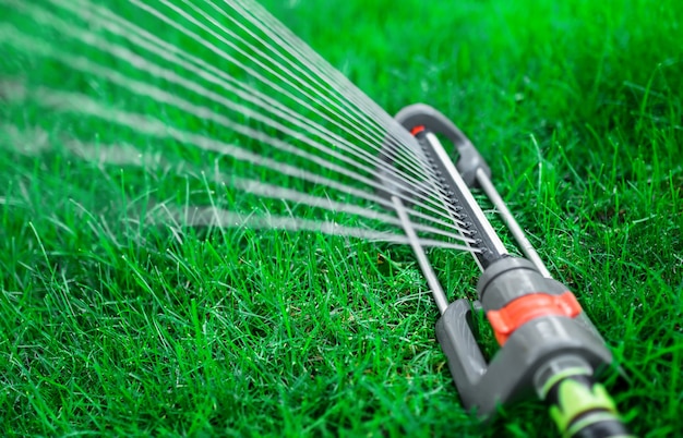 Premium Photo | Sprinkler watering the garden