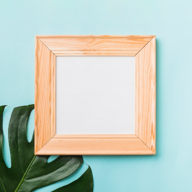 Free Photo Square Frame Near Leaf