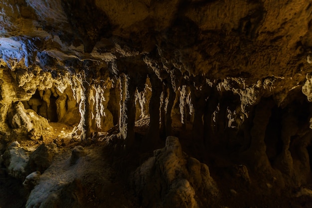 Premium Photo | Stalactite and stalagmite in waitomo cave , north ...