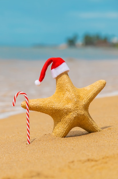 Premium Photo | Starfish santa claus on the beach