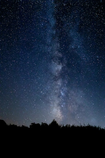 Premium Photo | Starry night landscape