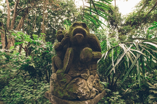 Statue in the sacred monkey forest, ubud, bali Premium Photo